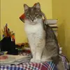 Отзыв от Эльвира Владимирова